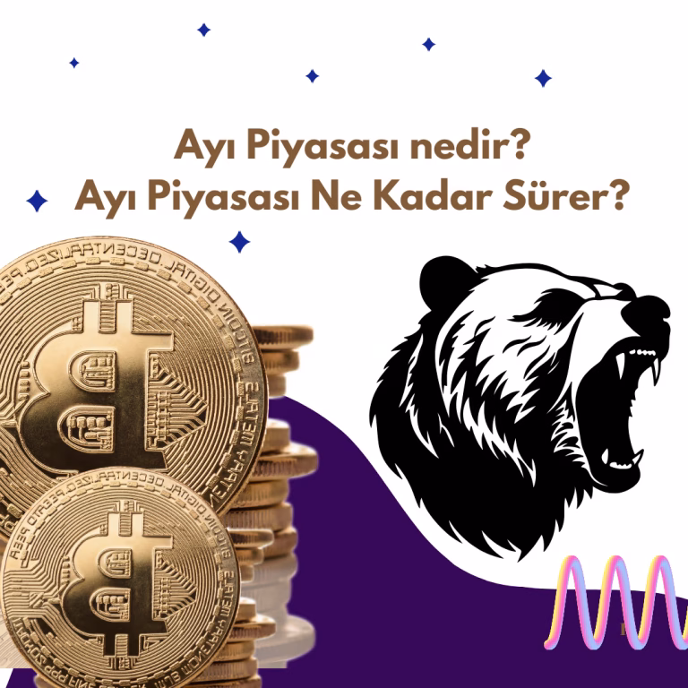 borsada ayı piyasası ne kadar sürer